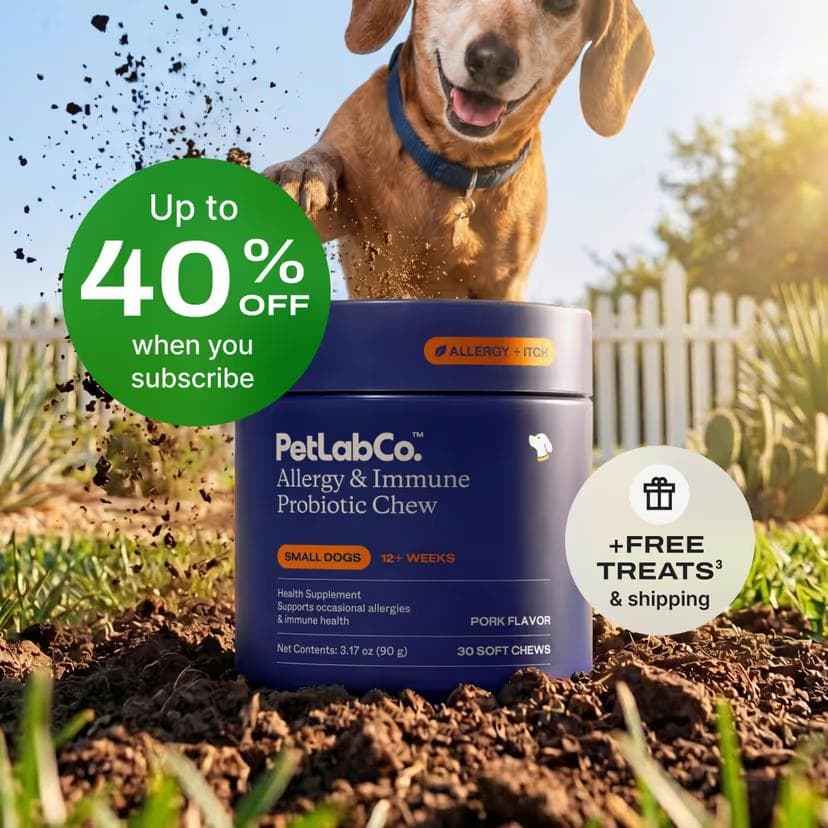 PetLab Co Allergy & Immune Probiotic Chew tub for small dogs, pork flavor, 30 soft chews