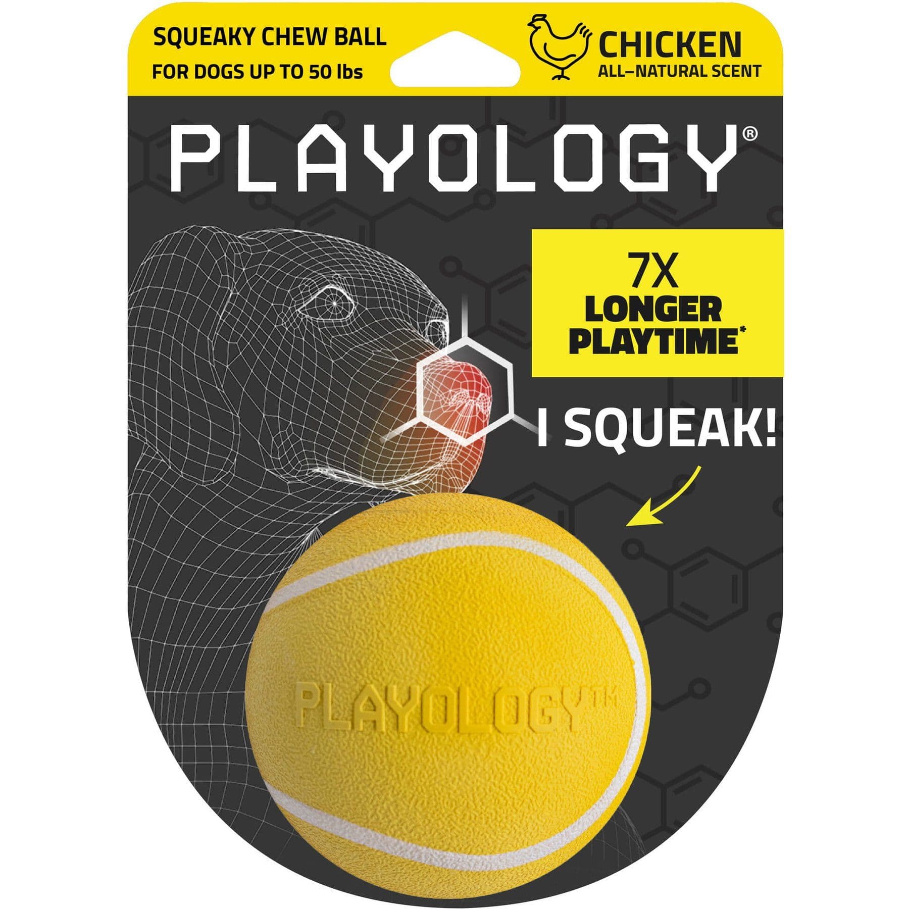 Playology Chicken Scented Squeaky Chew Ball Dog Toy, Medium