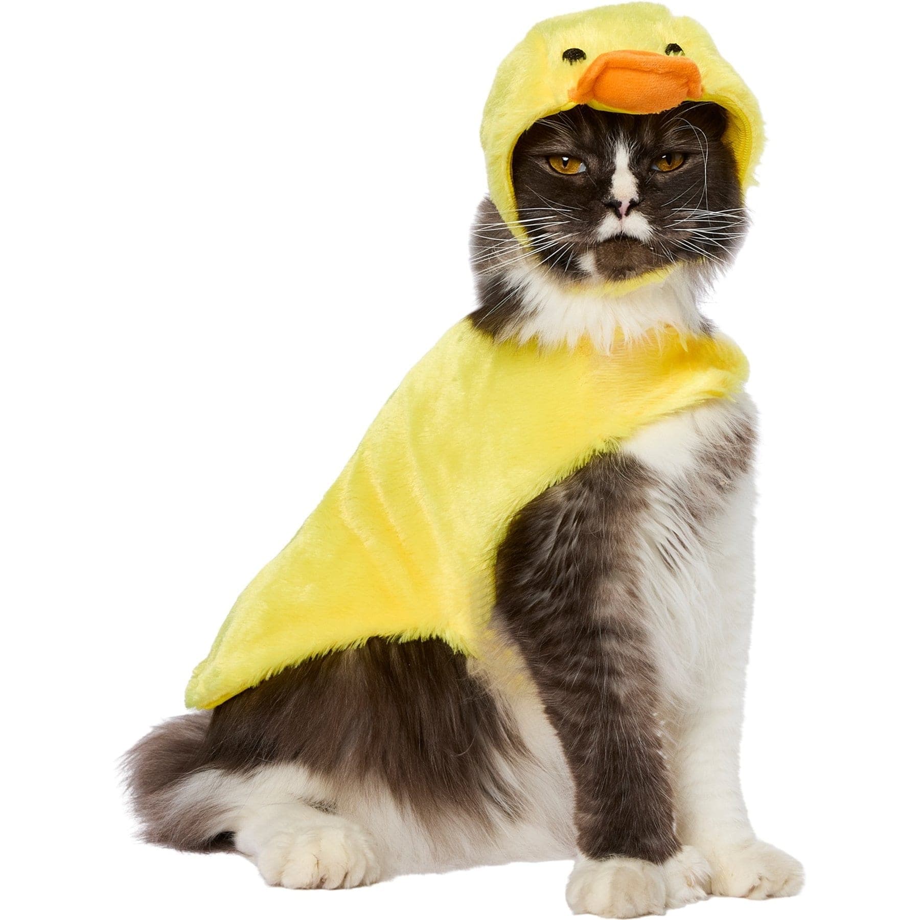 Frisco Duck Dog & Cat Costume, Small