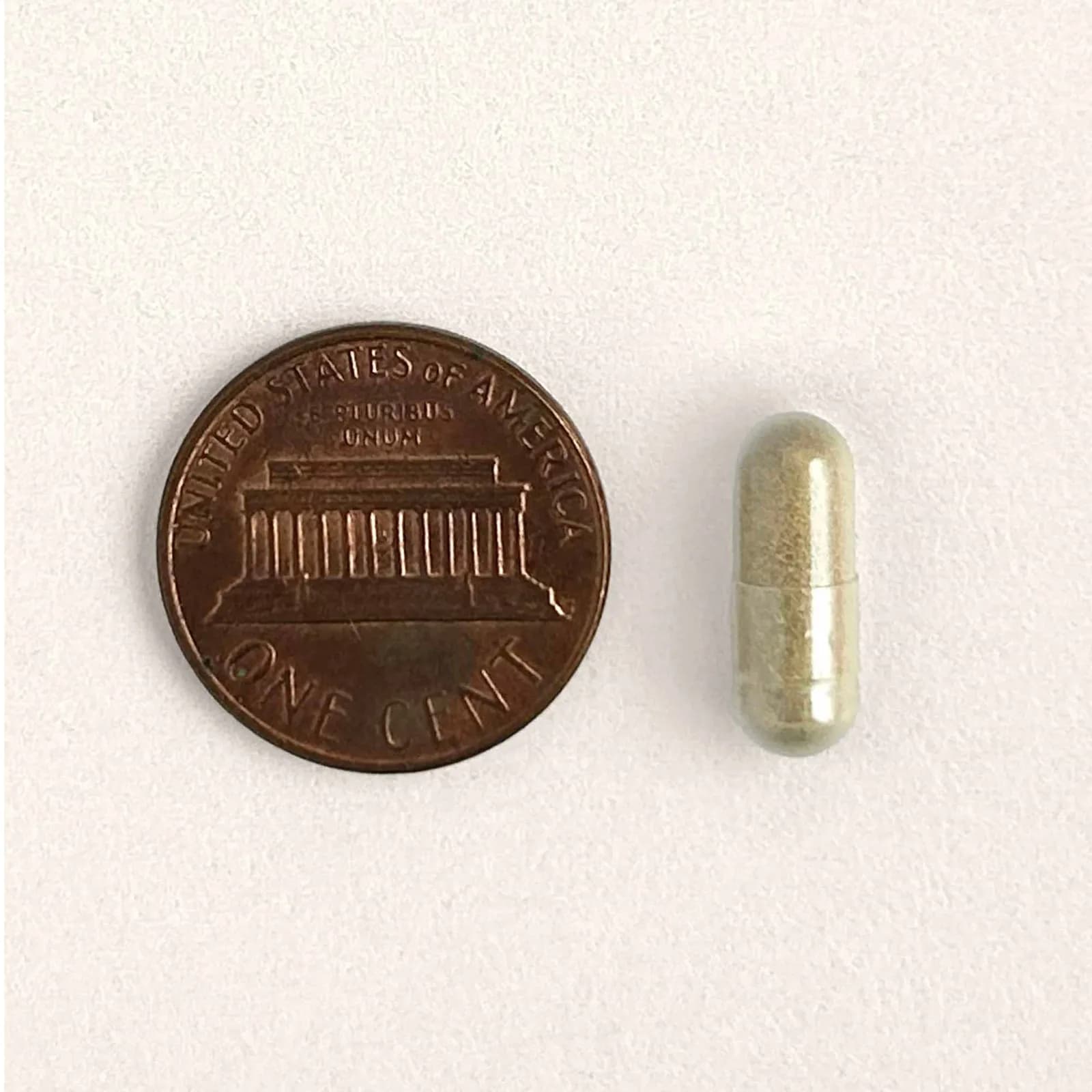 Official Animal Biome Gut Restore for Cats capsule sizes