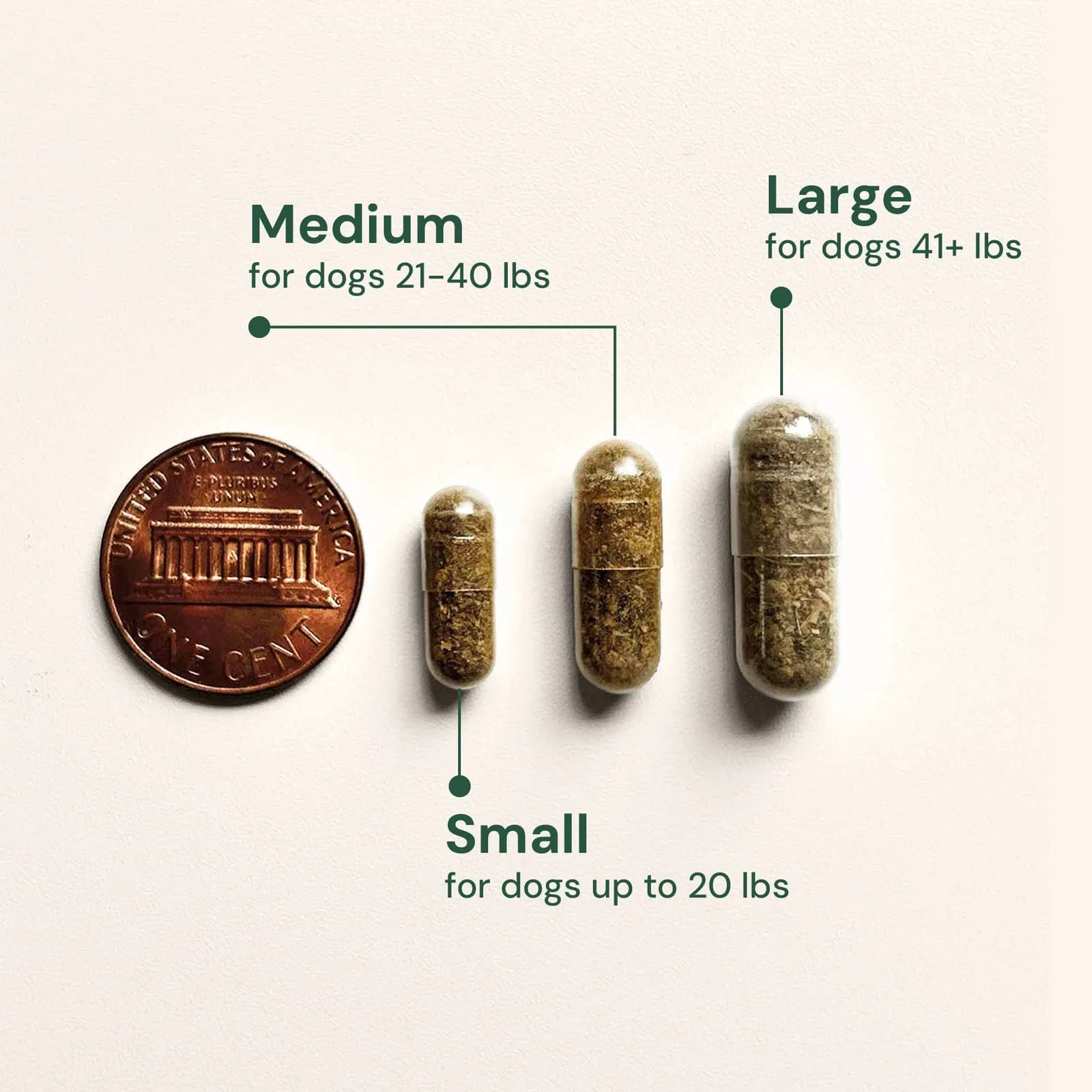 Official Animal Biome Gut Restore for Dogs capsule sizes