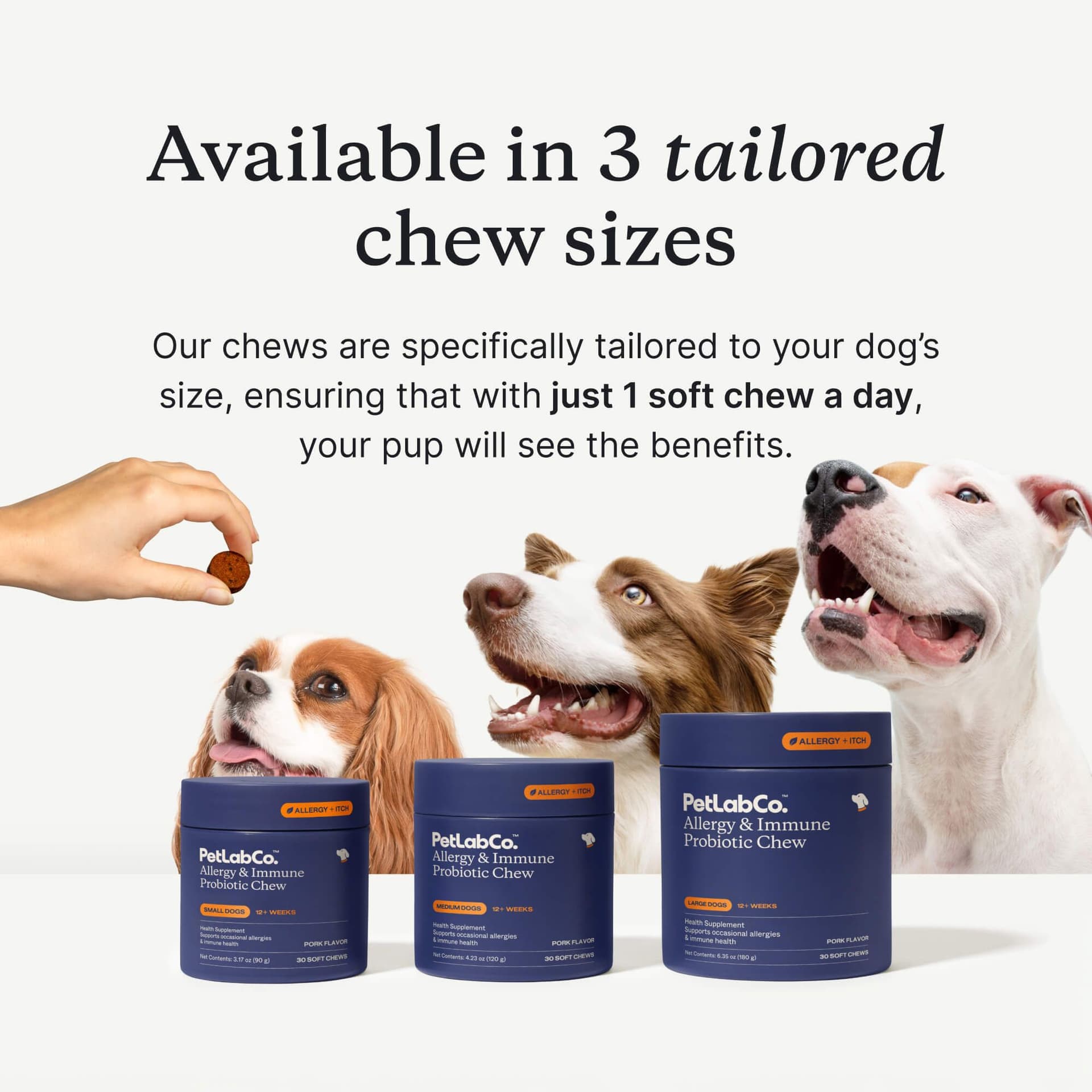 Official size-tailored Allergy and Immune formula overview