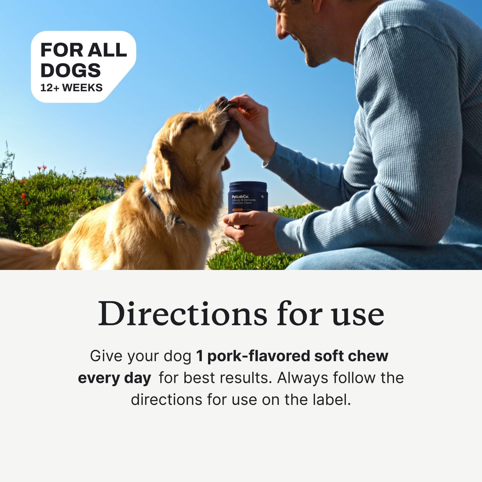 Official Allergy and Immune daily directions
