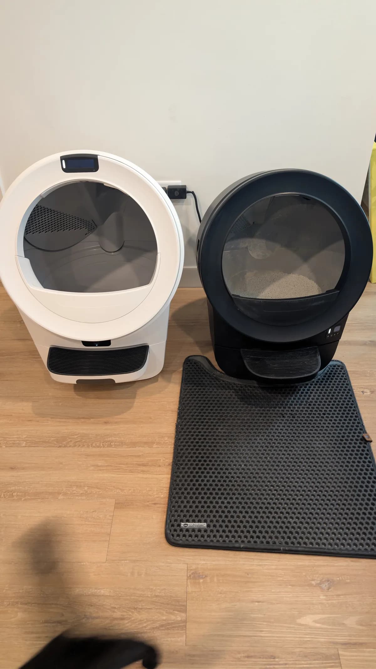 Two automatic Litter-Robot units set up side by side in a multi-cat home