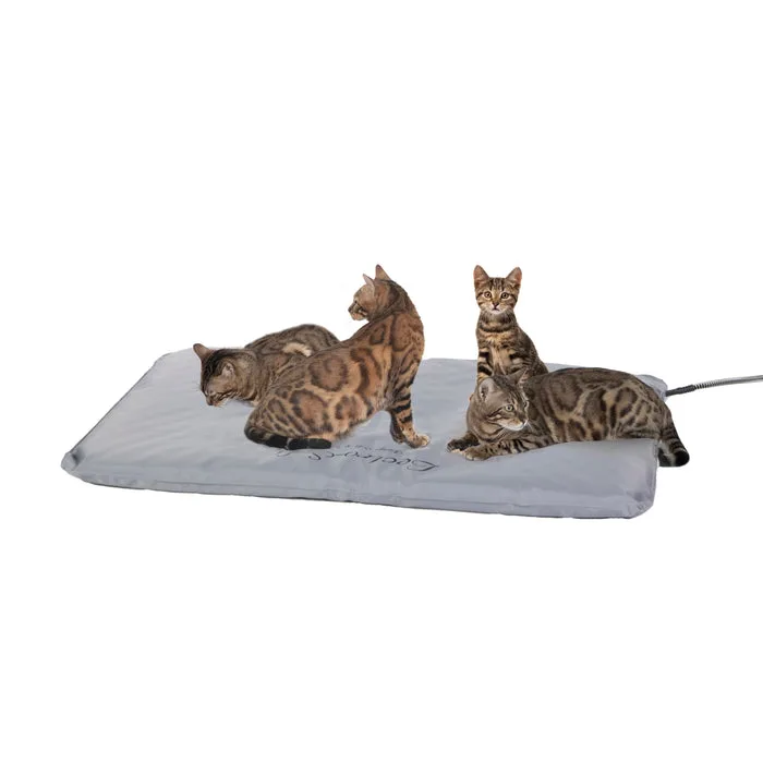 Cats on the Large K&H Lectro-Soft heated pad