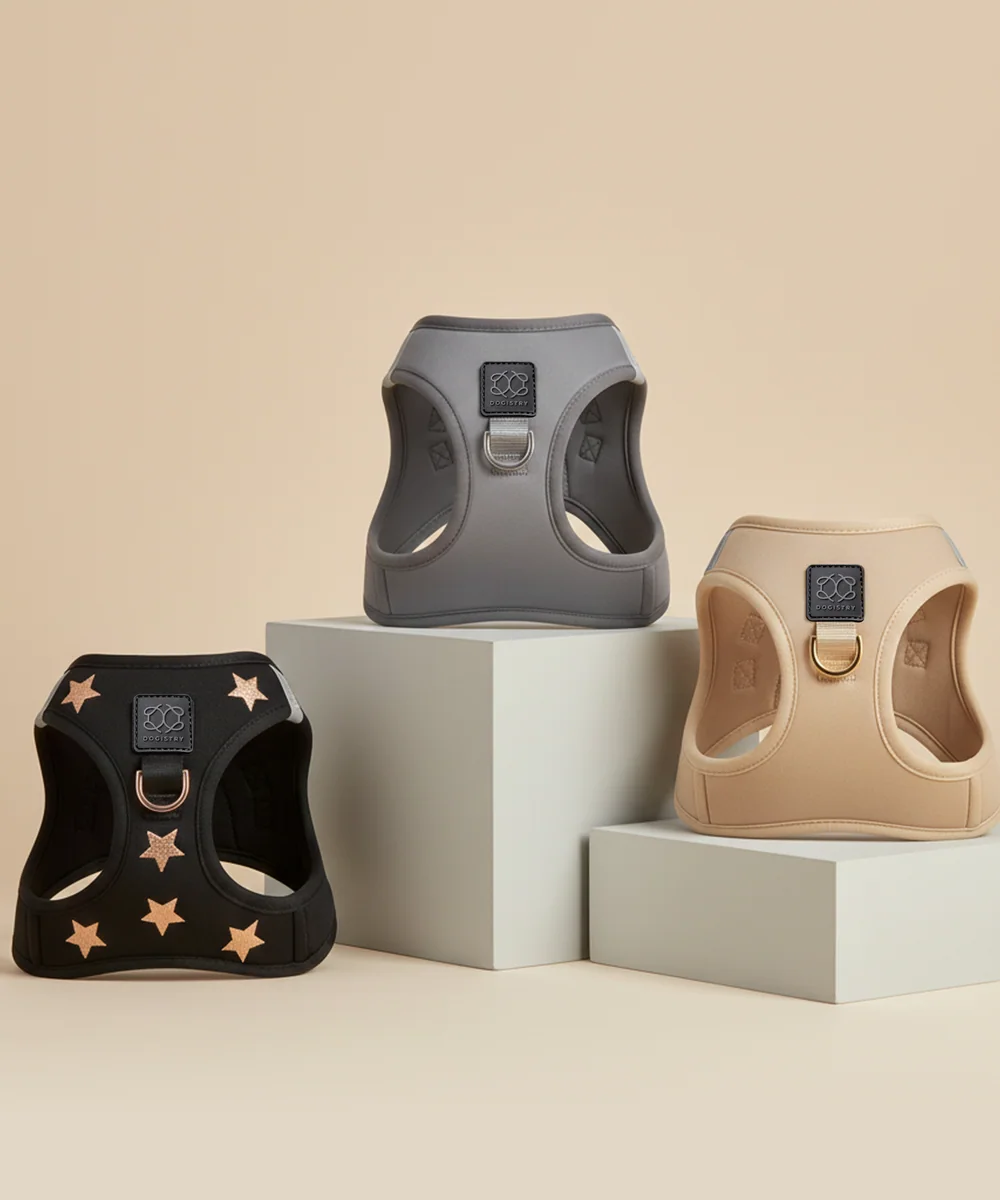 DOGISTRY harnesses photographed together in a styled product image