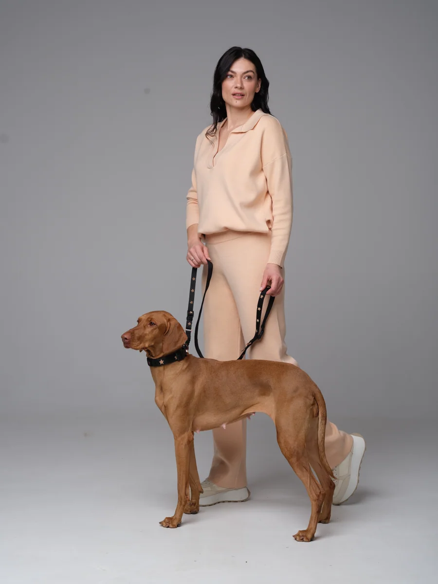 A DOGISTRY-supplied side view showing harness fit and leash placement on a small dog