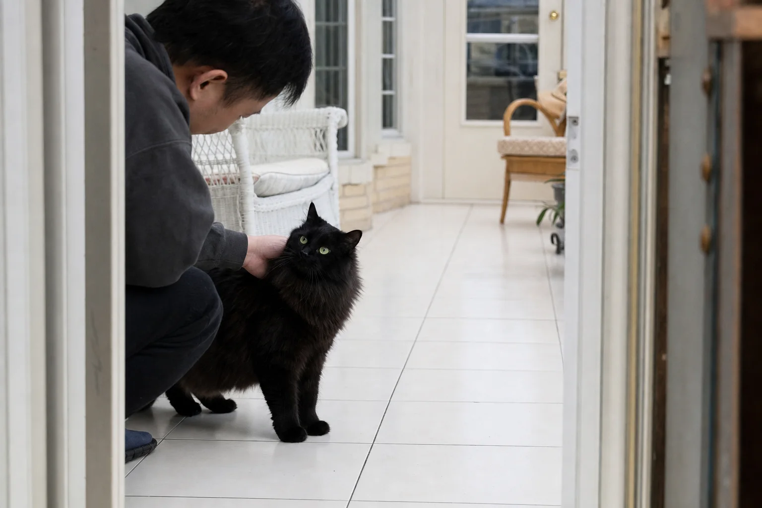 Person greeting a long-haired black cat in a bright home hallway