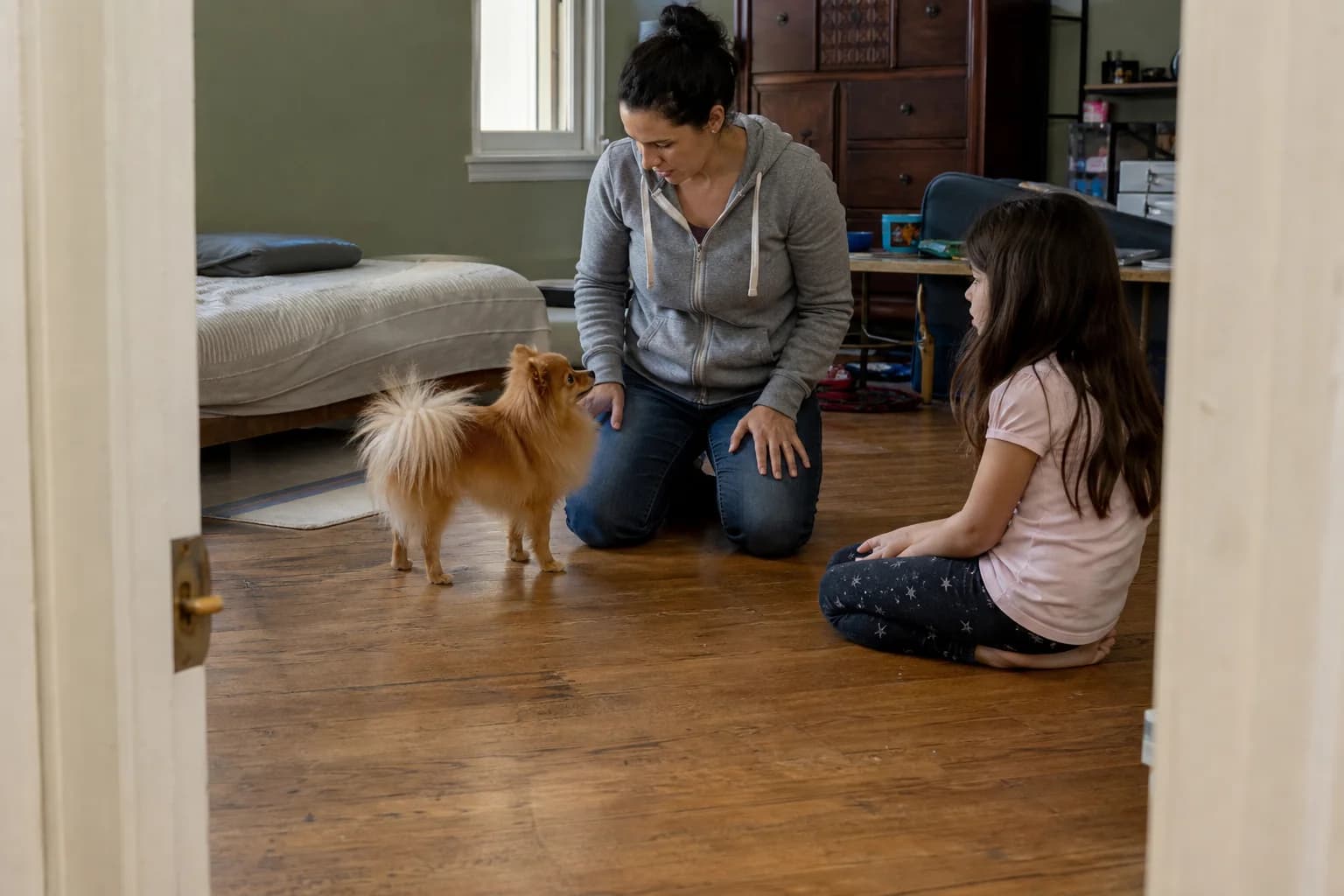 Adult supervising an orange Pomeranian and a seated child during a floor-level interaction