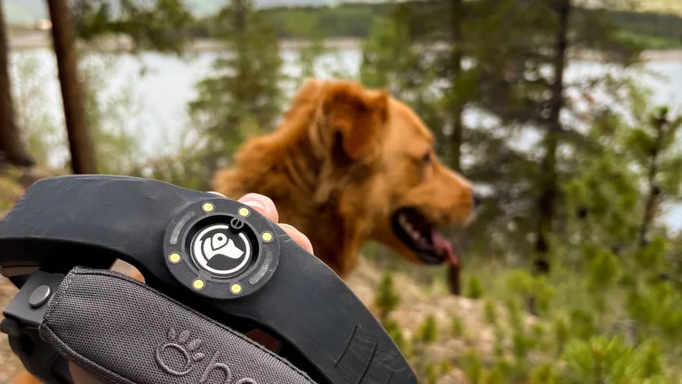 A SpotOn GPS fence collar held in hand at a wooded mountain lakeside campsite with a golden retriever looking out over the water