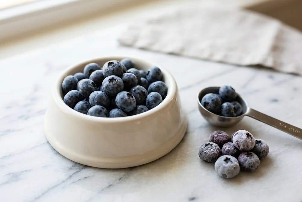 Fresh blueberries measured into a small dog bowl beside a spoon and frozen blueberries, showing a safe serving size of blueberries for a dog