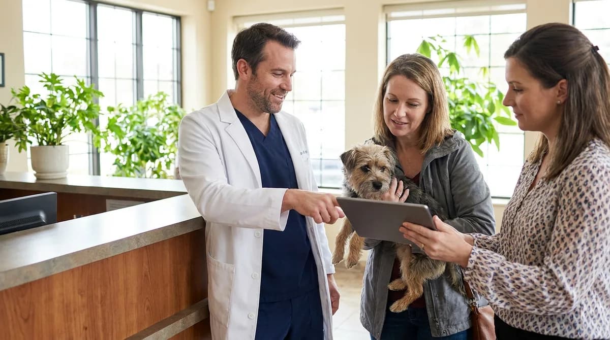 Veterinarian points at a tablet while discussing options with a woman holding a small terrier at reception