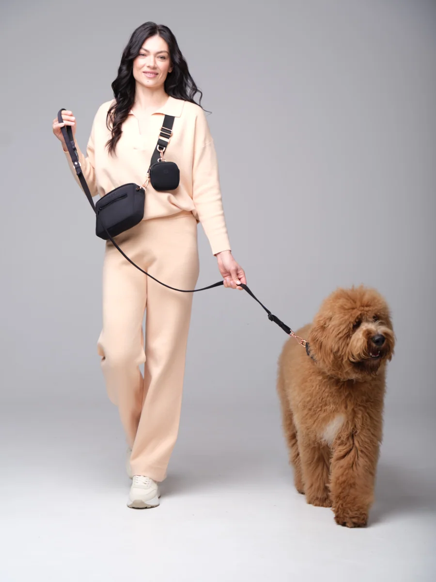 A DOGISTRY-supplied lifestyle photo of an owner and small dog using the coordinated walking system