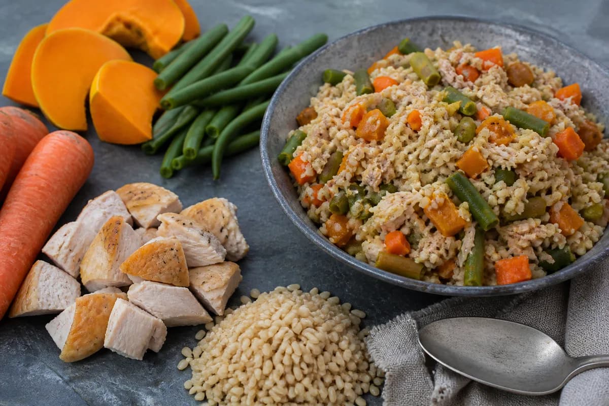 Cooked chicken, carrots, green beans, pumpkin, and brown rice beside a bowl of fresh dog food