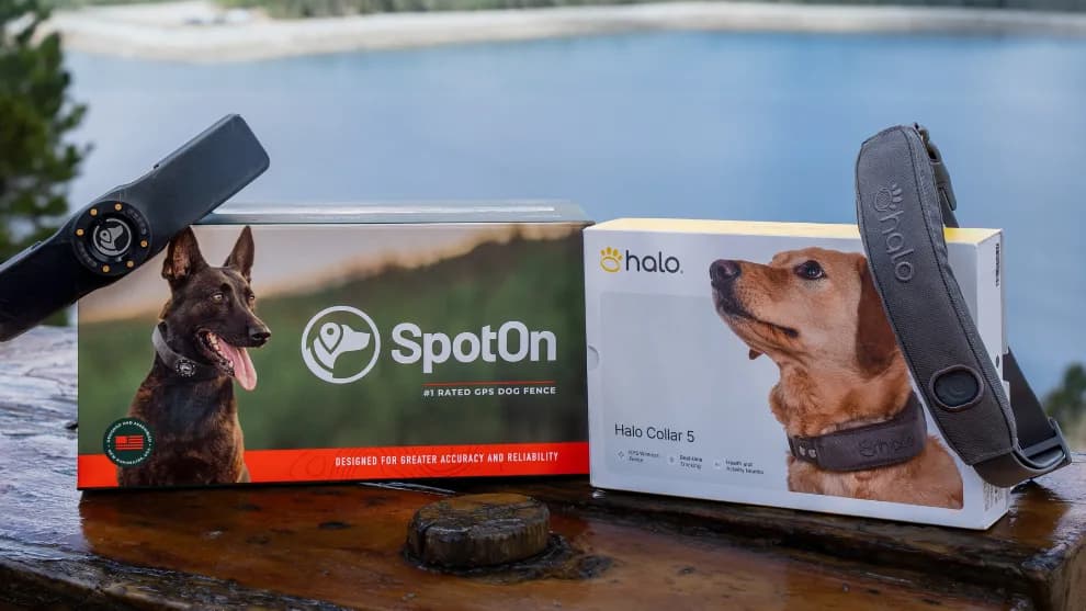 SpotOn GPS fence and Halo Collar 5 retail boxes side by side on a wooden table overlooking a mountain lake
