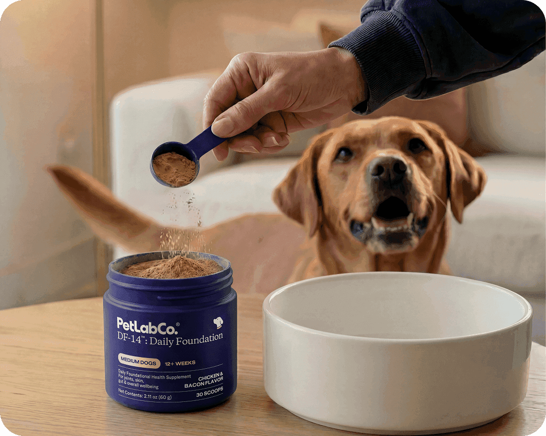 A hand holds a scoop of DF-14 powder above an open tub beside a food bowl and a Golden Retriever.