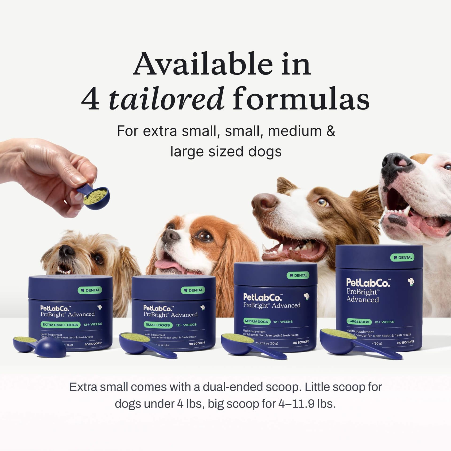 Official ProBright Advanced size-tailored formula overview