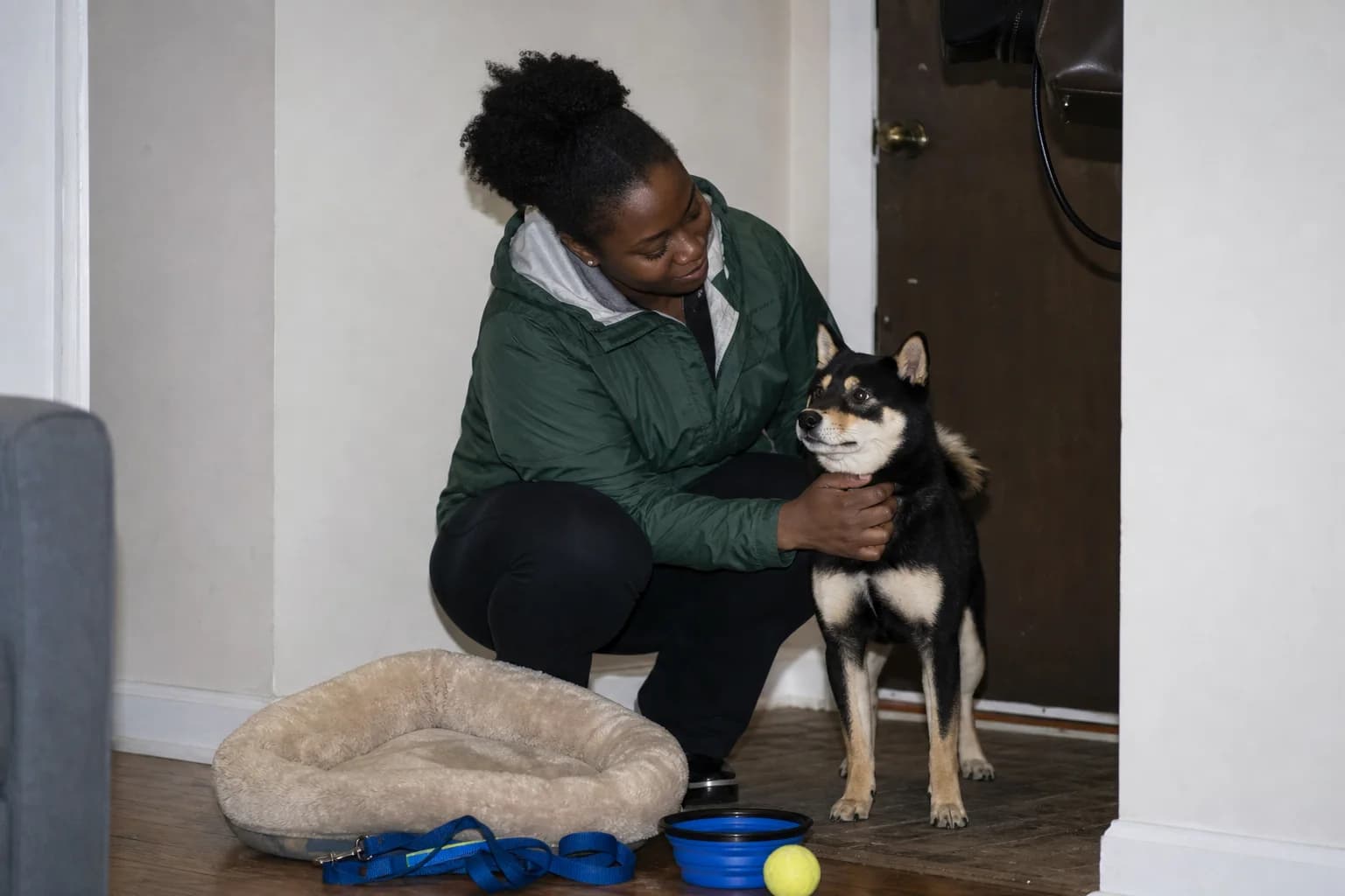 Owner settling a black-and-tan Shiba Inu beside a bed, bowl, leash, and ball in a home entryway