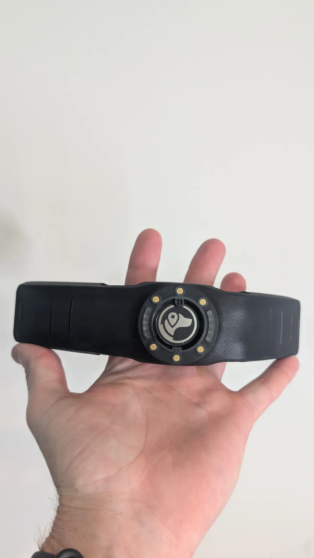 Holding the SpotOn collar in one hand shows its size and the GPS module ringed with metal contact points.