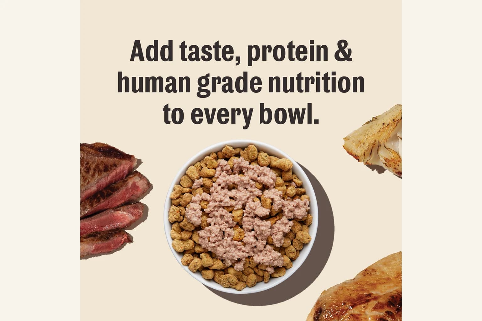 The Honest Kitchen beef meal booster over a complete dog meal