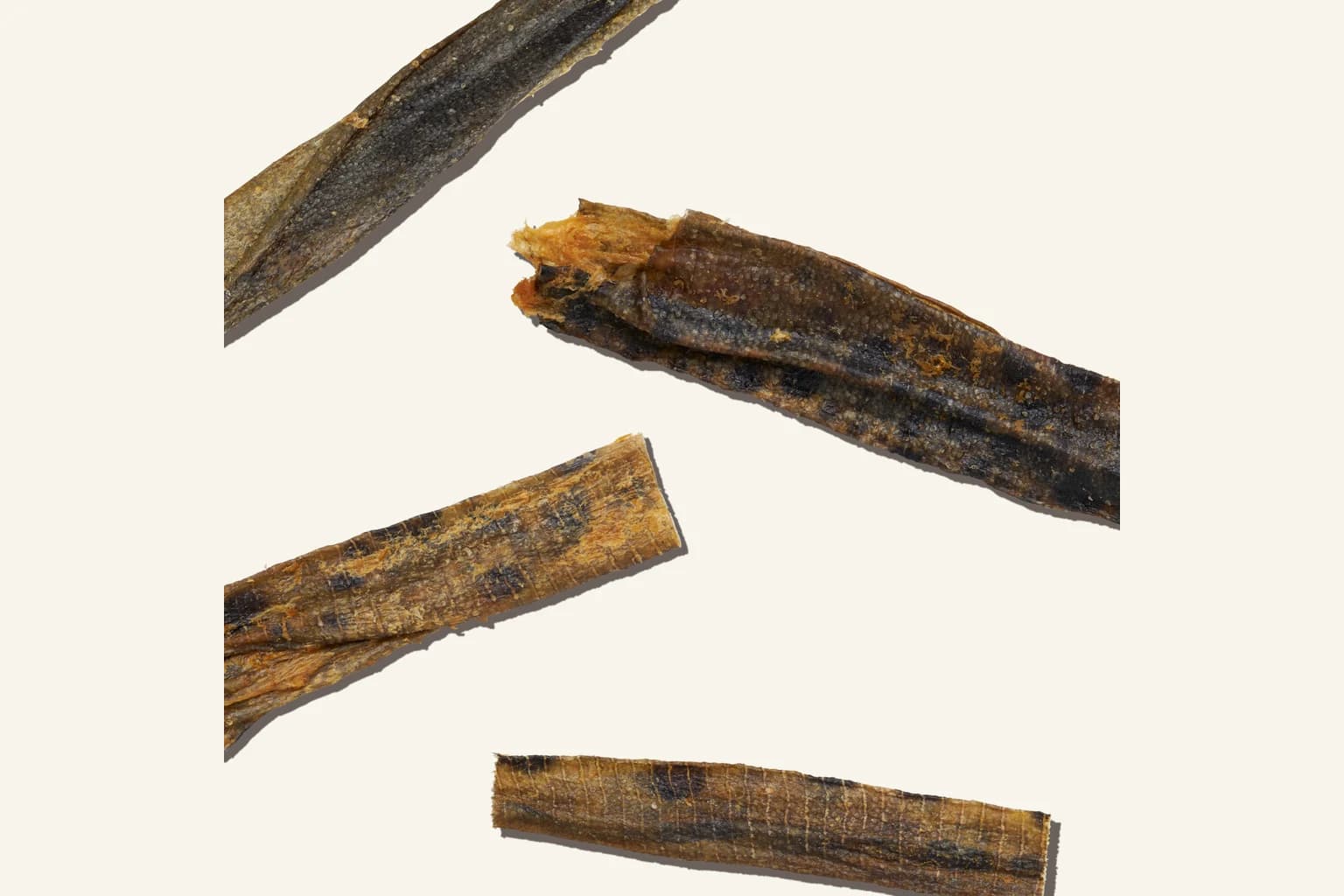 Wolffish skin dog chews shown in close detail
