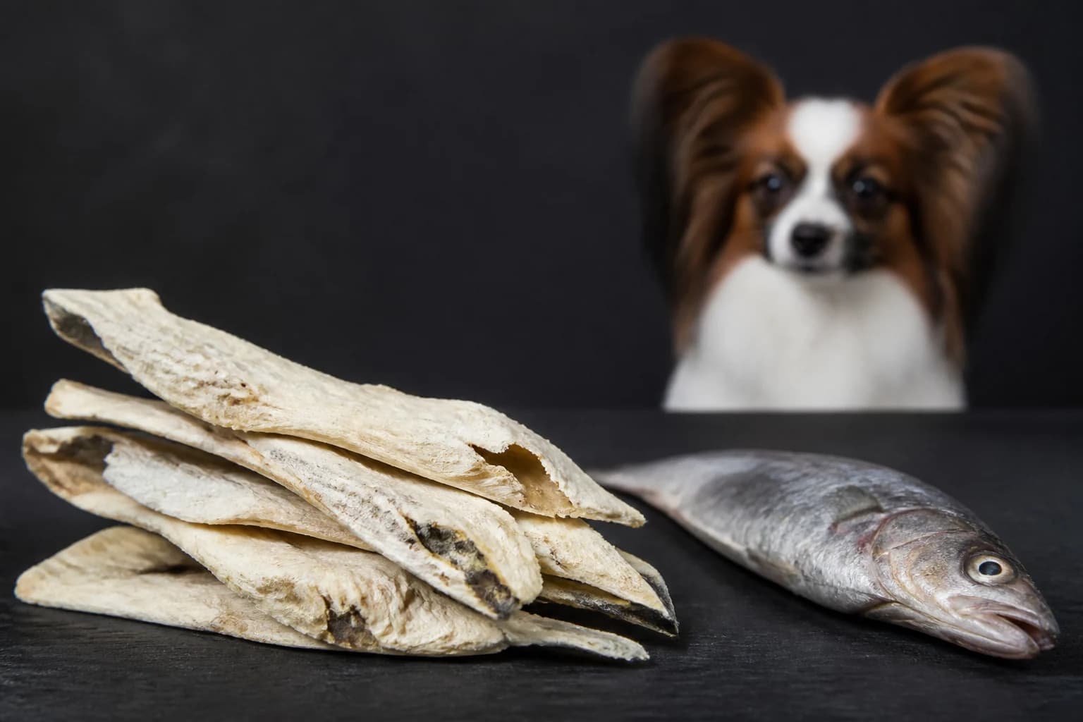 Single-ingredient whitefish dog treats beside whole fish