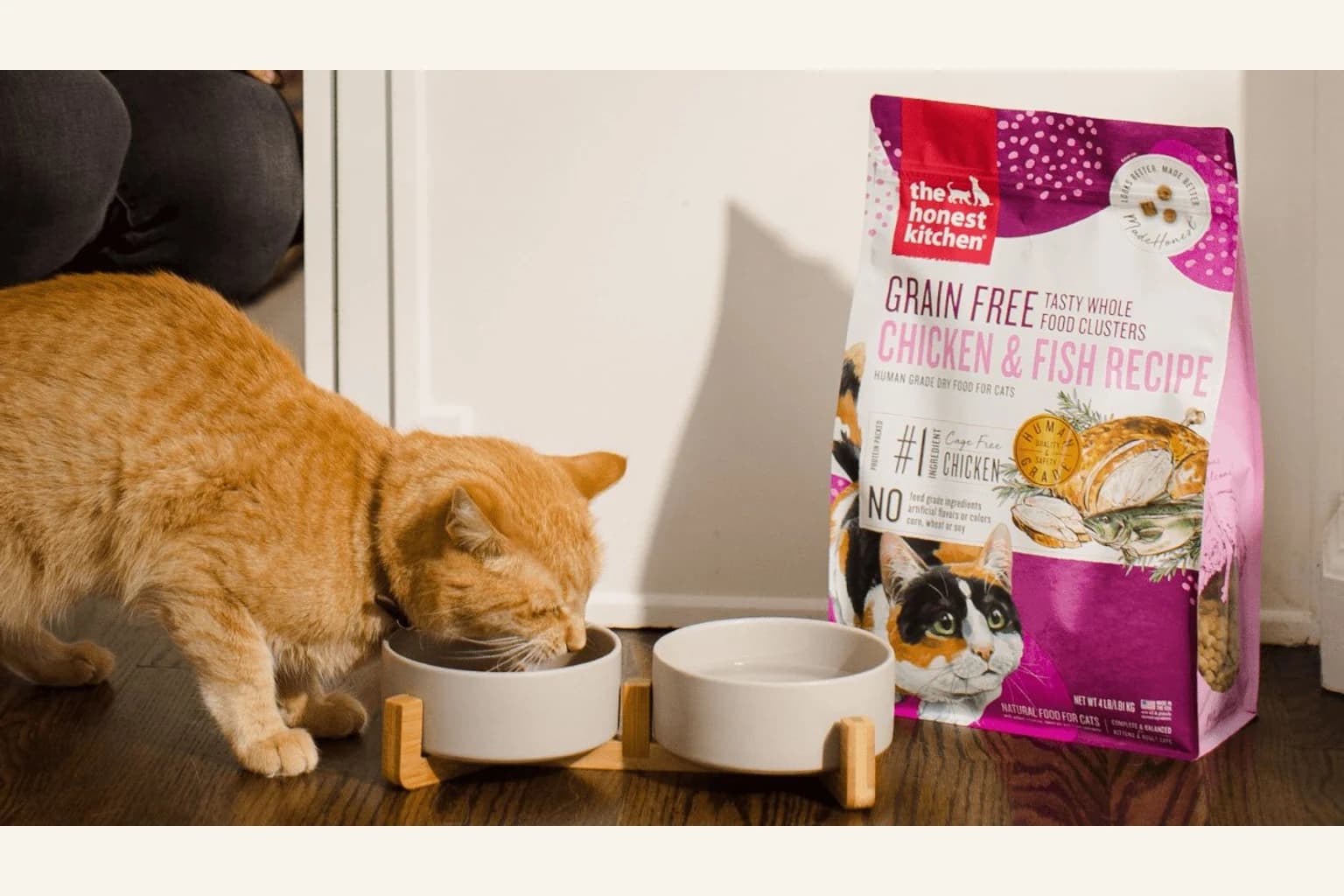 The Honest Kitchen dry cat food beside a cat