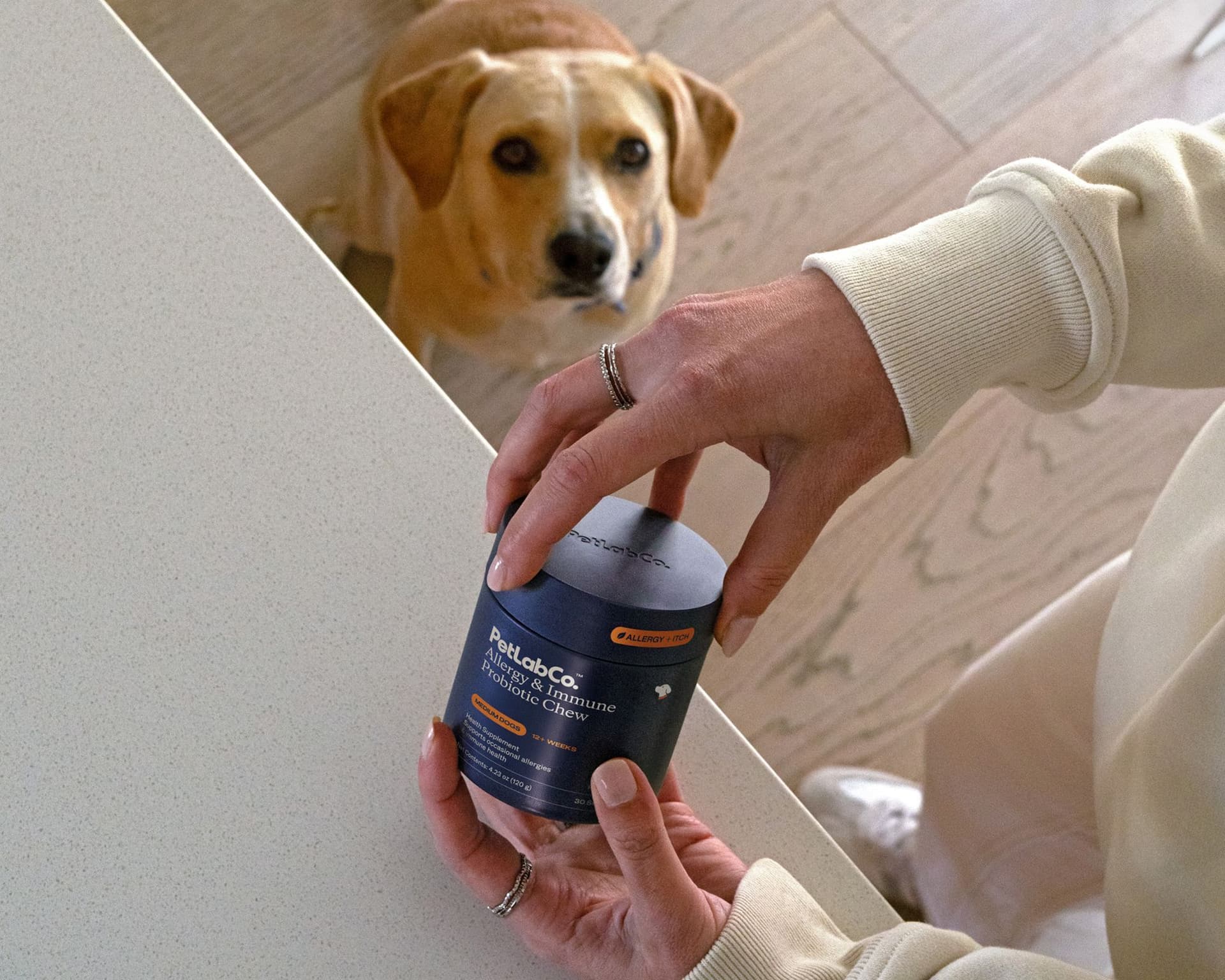 Which daily supplements may support dogs with yeasty paws?