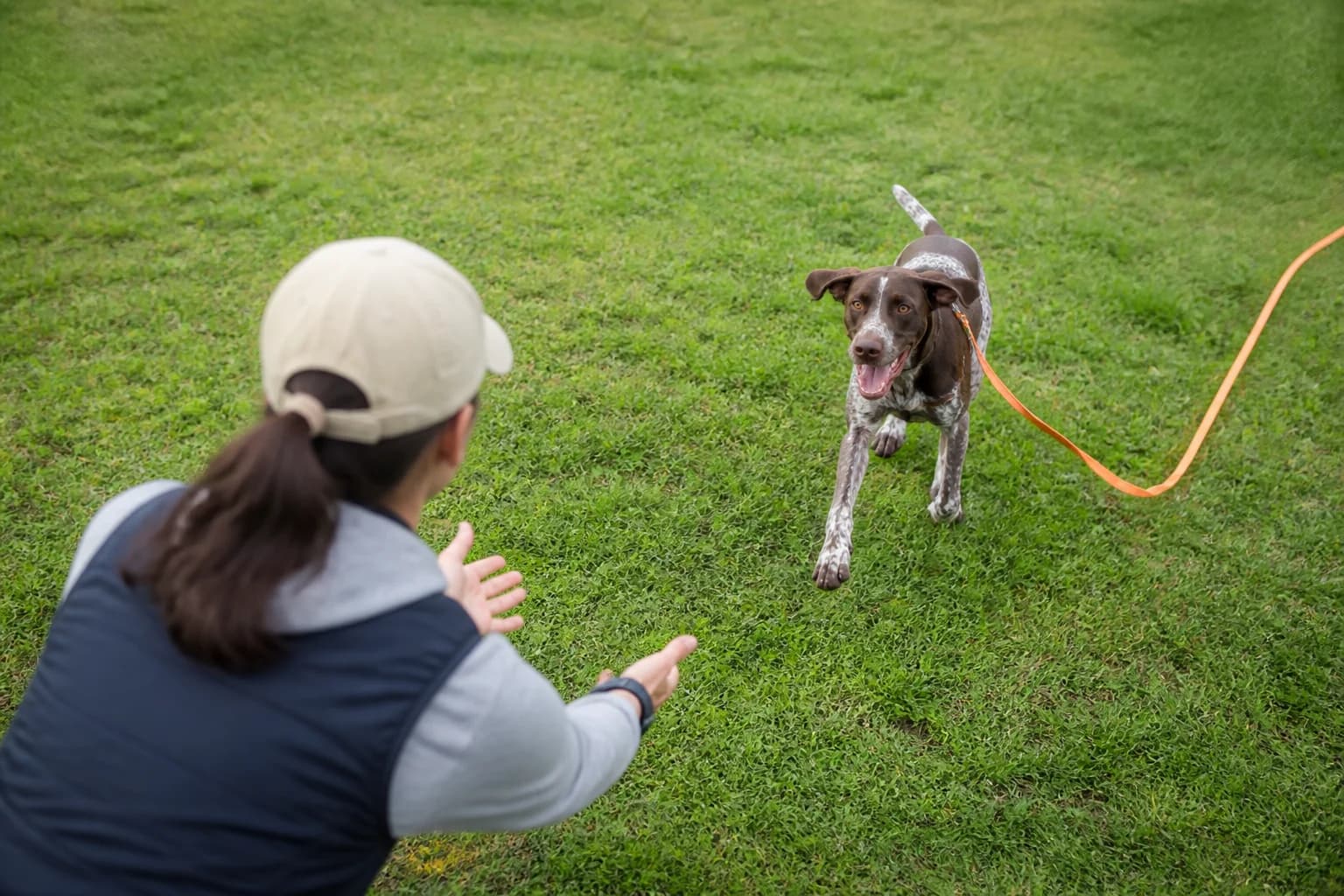 GSP practicing a recall on a long line
