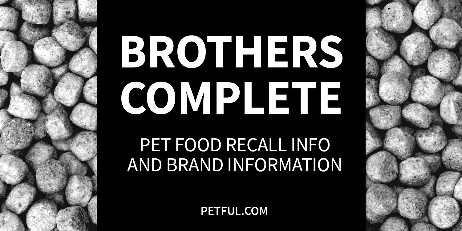 brothers complete recall image
