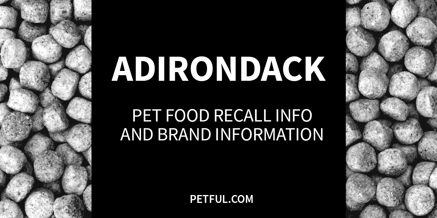 adirondack recall image