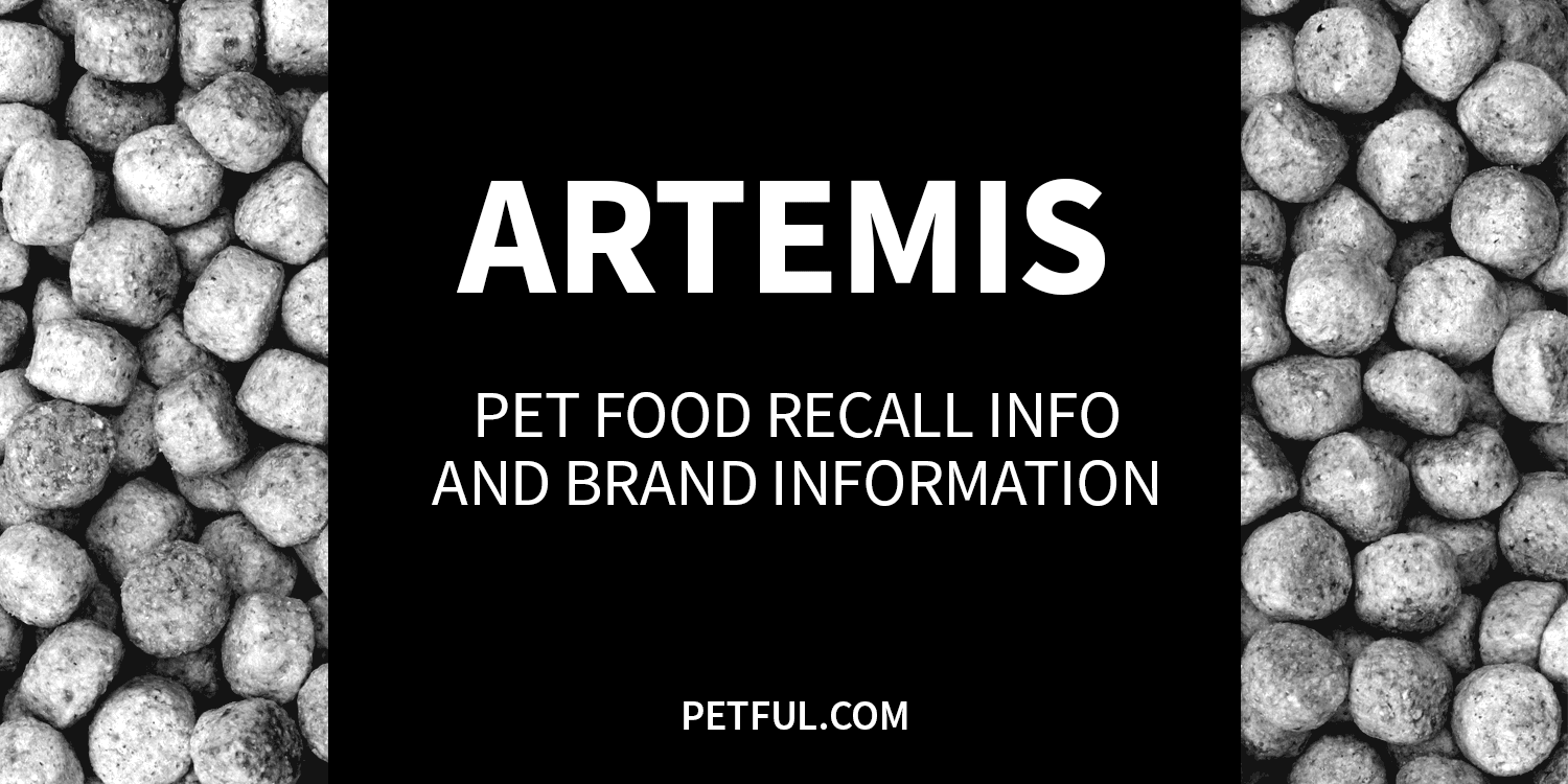 artemis recall image