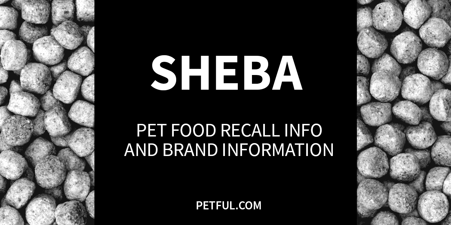 sheba recall image