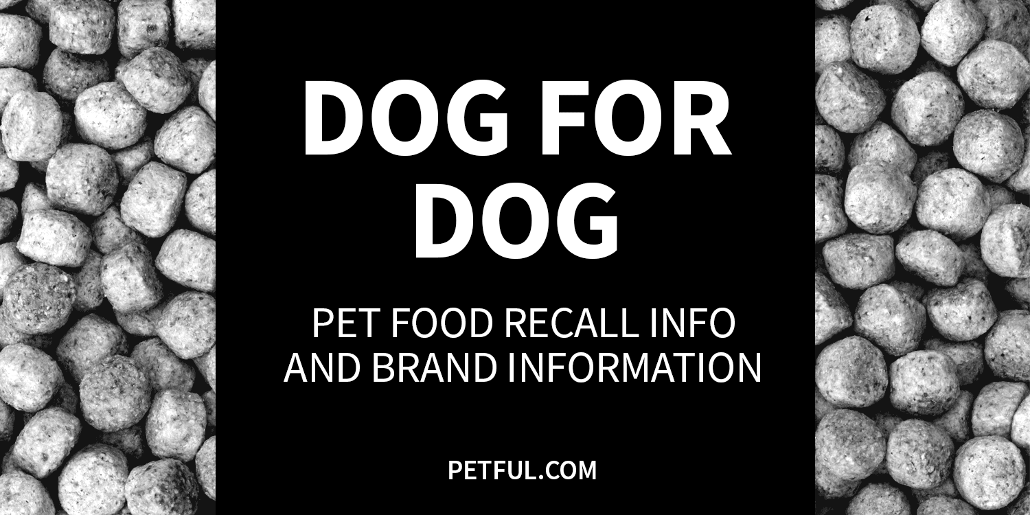 dog for dog recall image