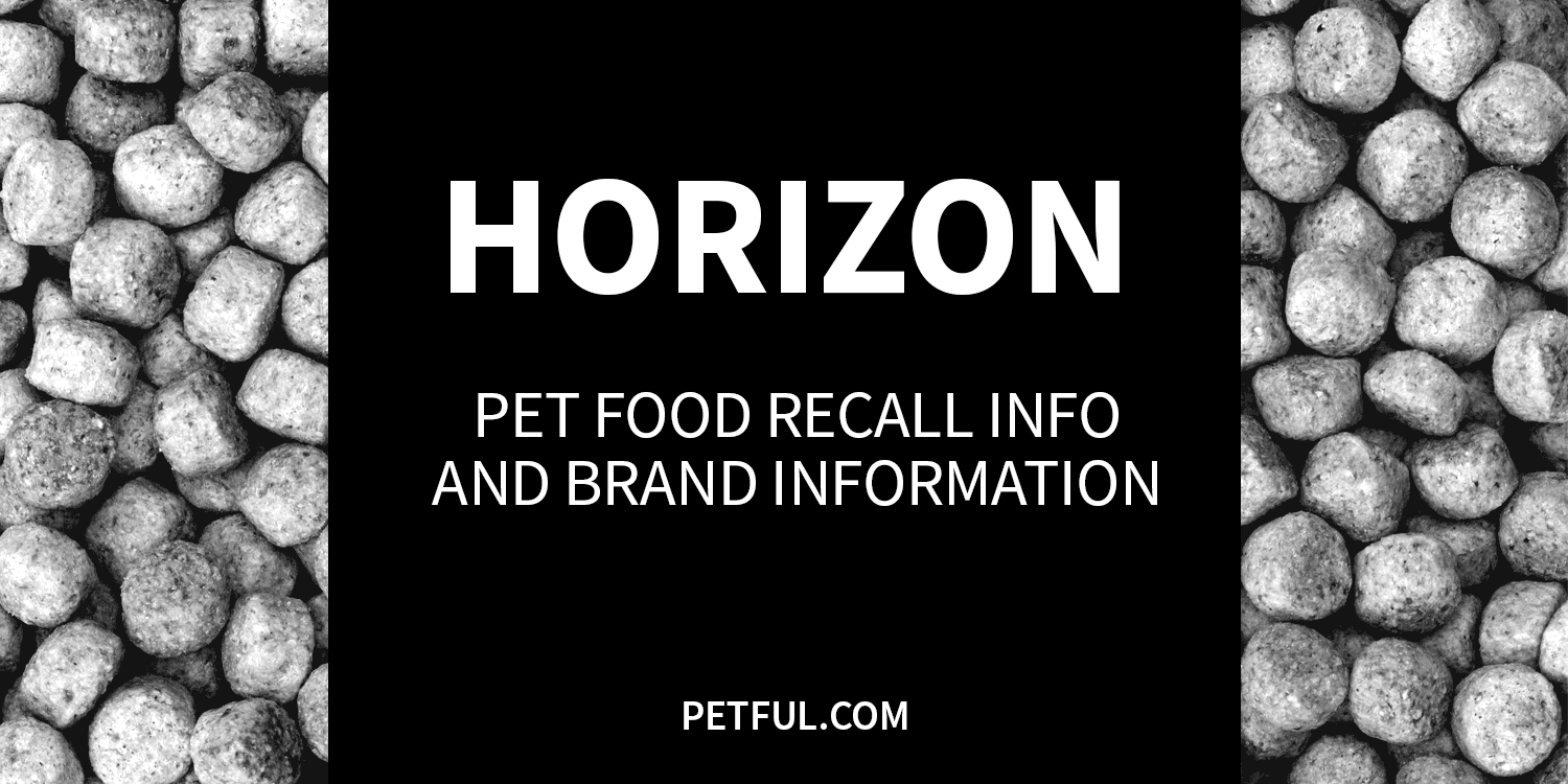 horizon recall image
