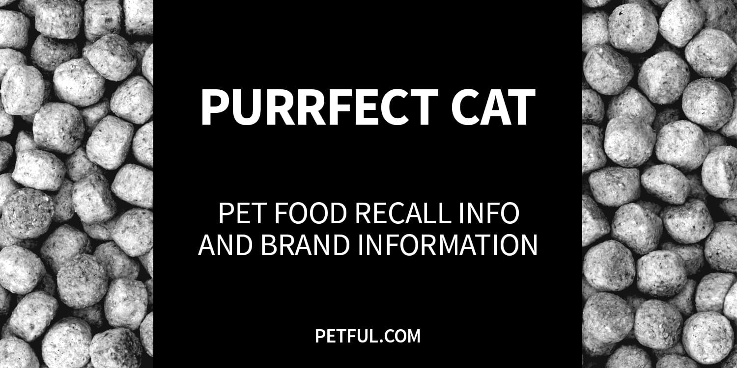 purrfect cat recall image