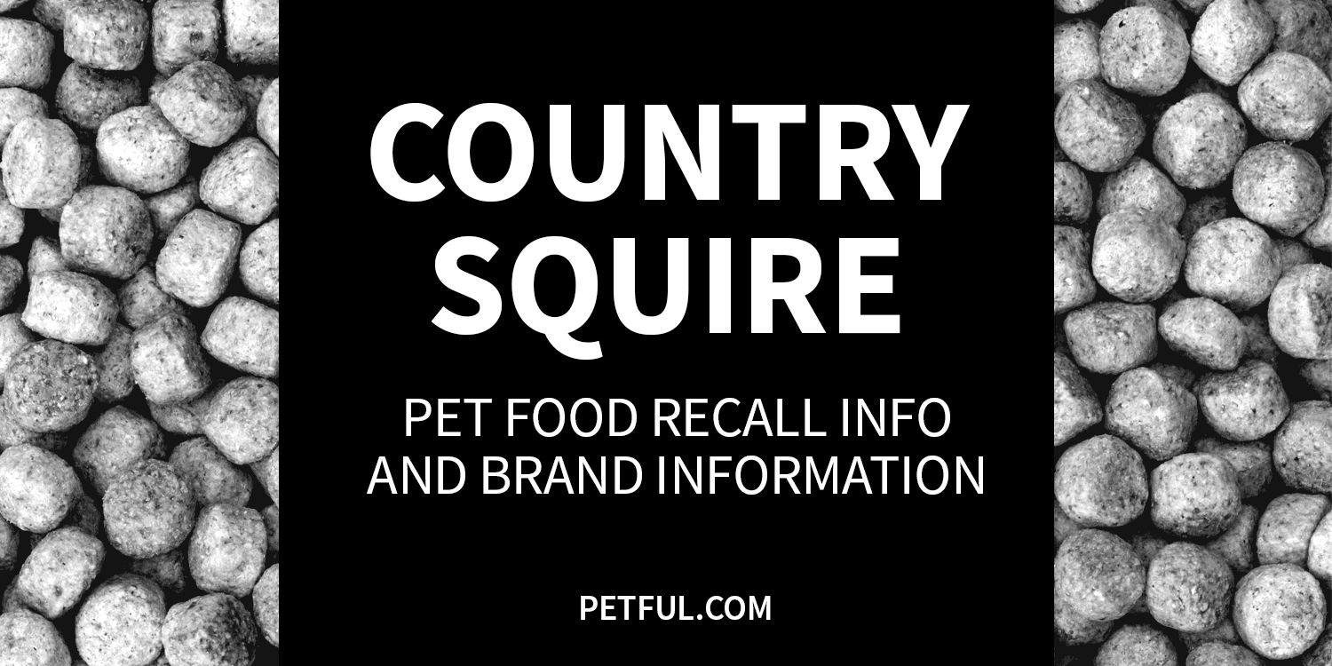 country squire recall image