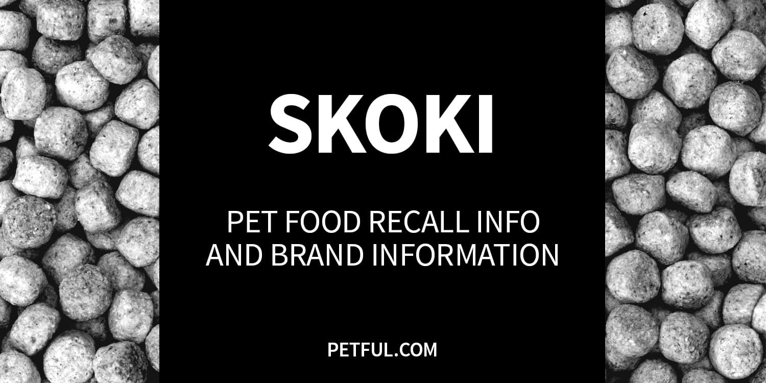 skoki recall image