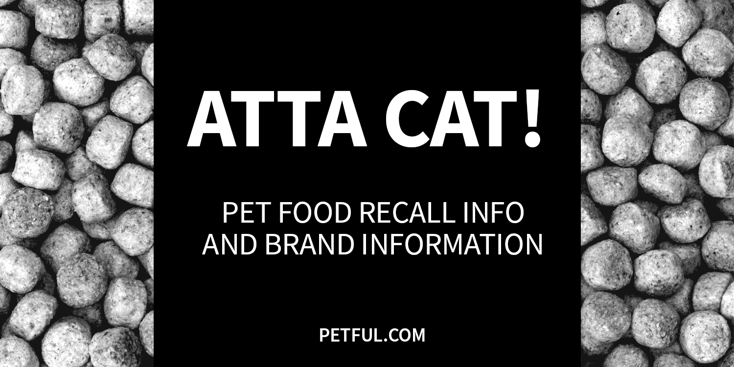 atta cat! recall image