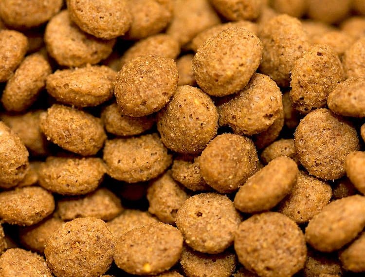 Photo of dry dog food