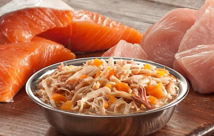 Photo of Wellness Shreds Chicken, Wild Salmon & Pumpkin