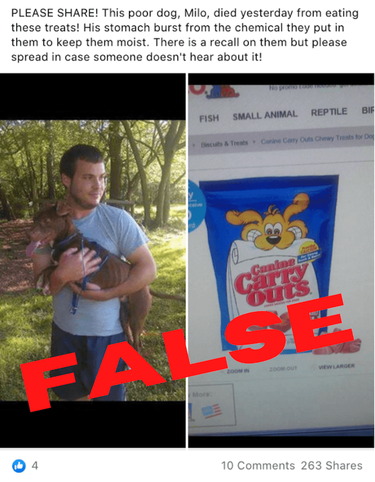 Screenshot of Facebook post with rumor about dog's stomach bursting - we rate this as FALSE