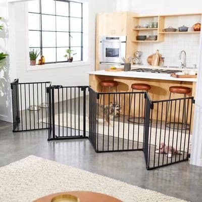 Crate Training a Puppy: A Day-by-Day Plan