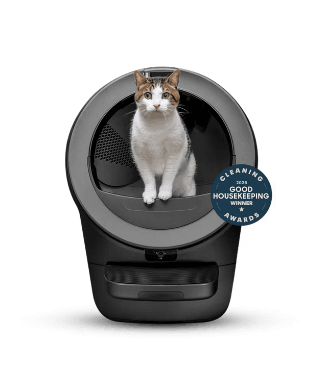 Cat Peeing Outside the Litter Box: 7 Causes & Vet Fixes