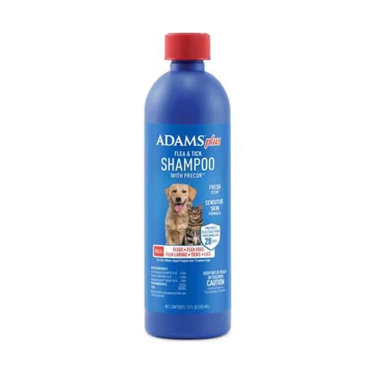 Safest Flea Treatment for Dogs: Vet Guide