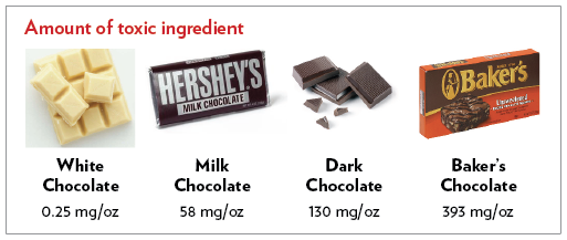 Dog Chocolate Toxicity Chart