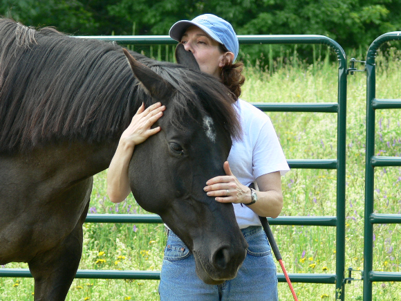 Nancy King, director of A Horse Connection