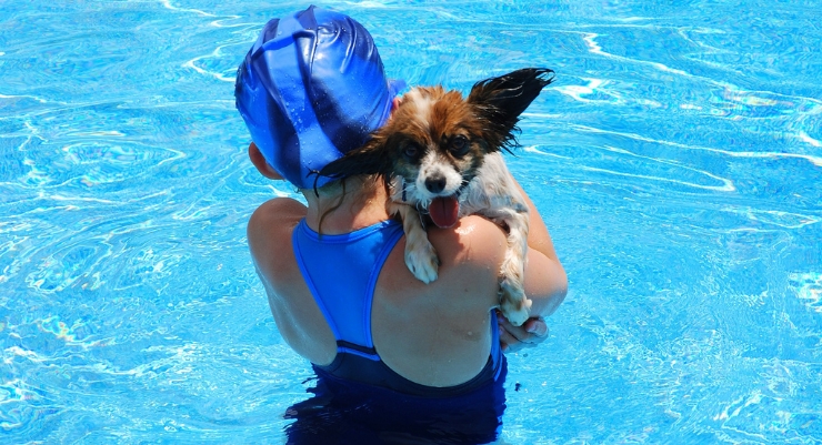 Be safe in the water with your dog. By: ShutterBug