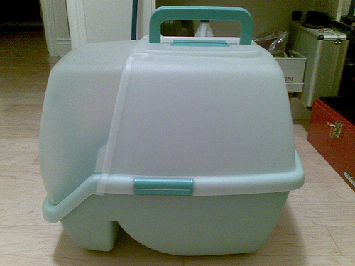 Fumes are intensified in a covered litter box. By: Andrew Currie