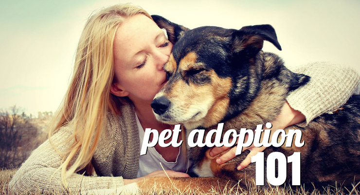 Pet Adoption Center | Free Online Adoptable Pet Search